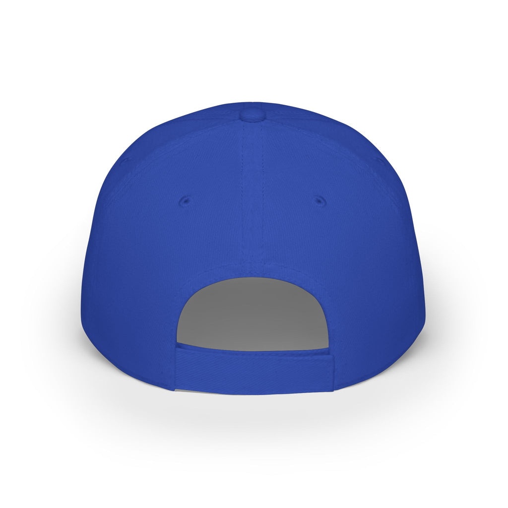 Freedom Made America Route 66 Flag Cap