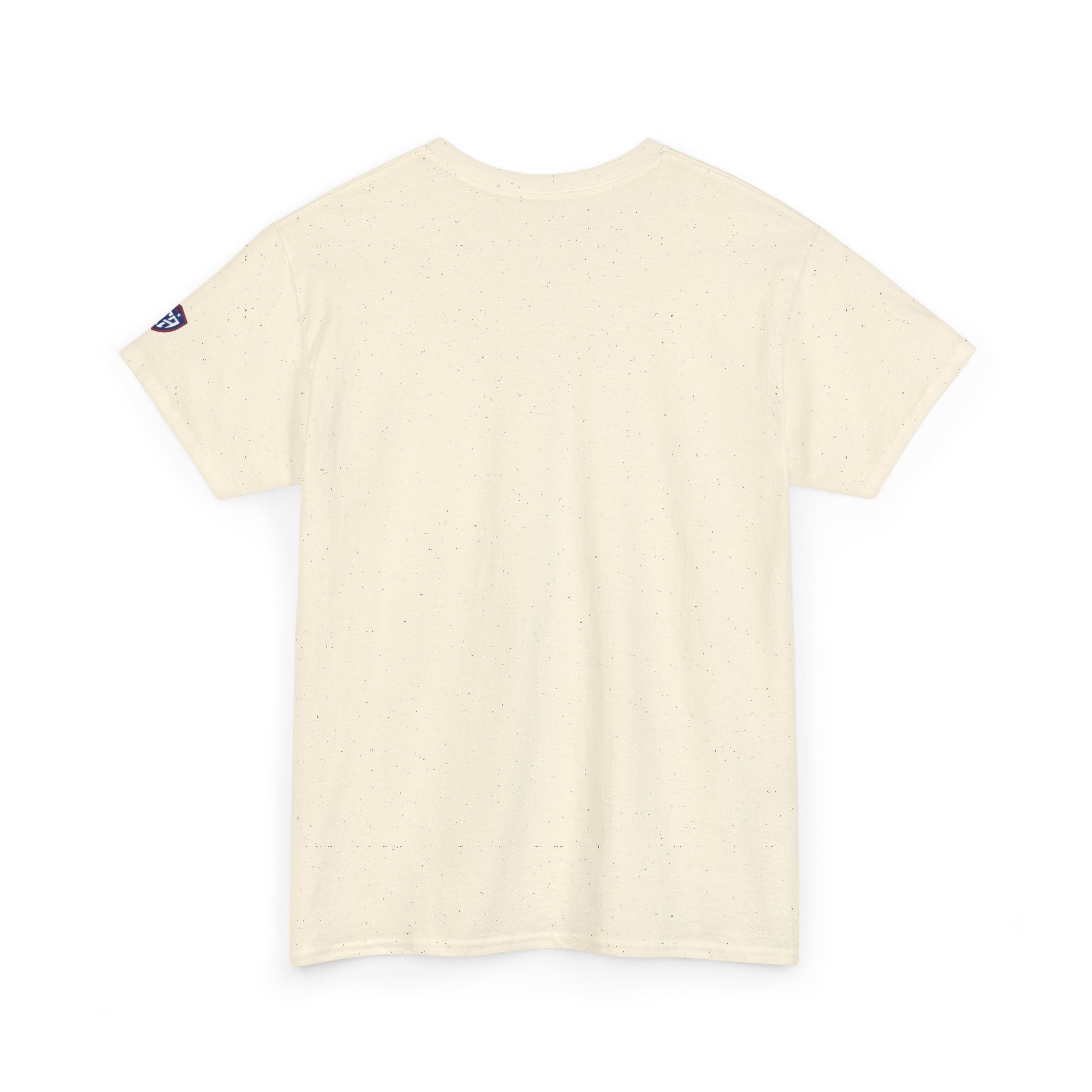 Explore Freedom Eagle T-Shirt | Patriotic American Flag Stars Tee, Titan Athletic, JP Ellington